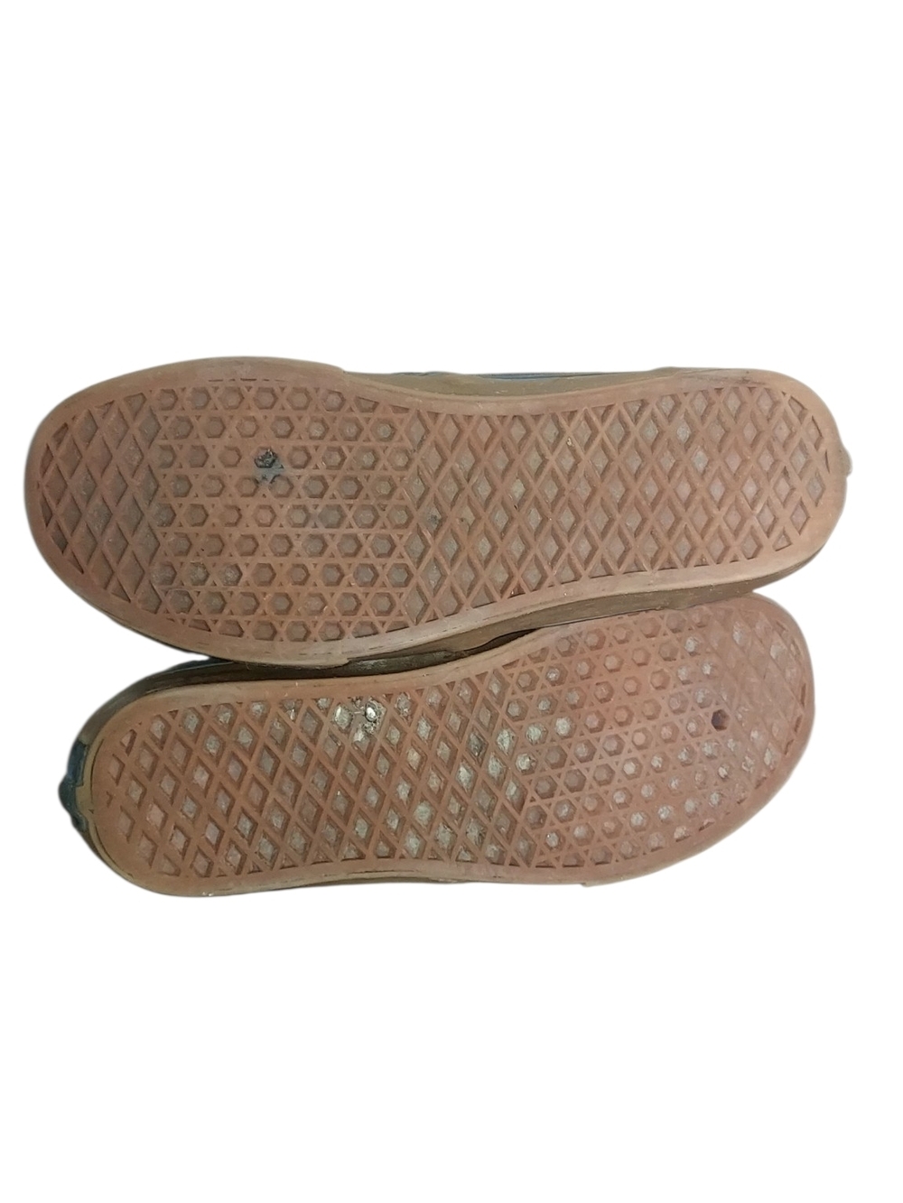 Vans Classic Canvas Sneakers in with Gum Sole - Picture 5 of 6